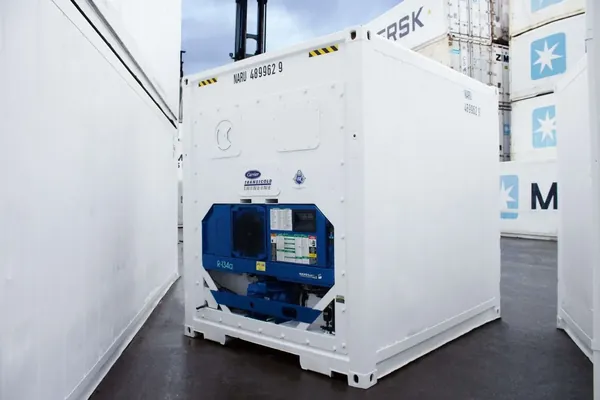 10 Feet Freezer Container Compact Mobile Cold Storage Cell Reefer Container for sale – Available (photo 2)