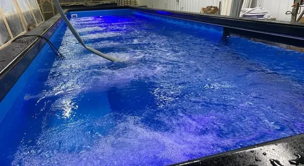 40 Ft Container Pool for sale – Available (photo 3)